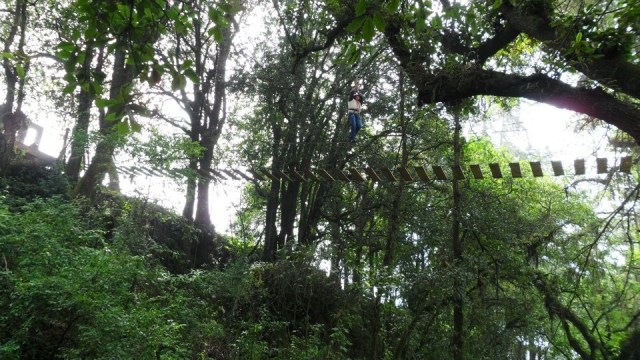 Cruzando por el aire